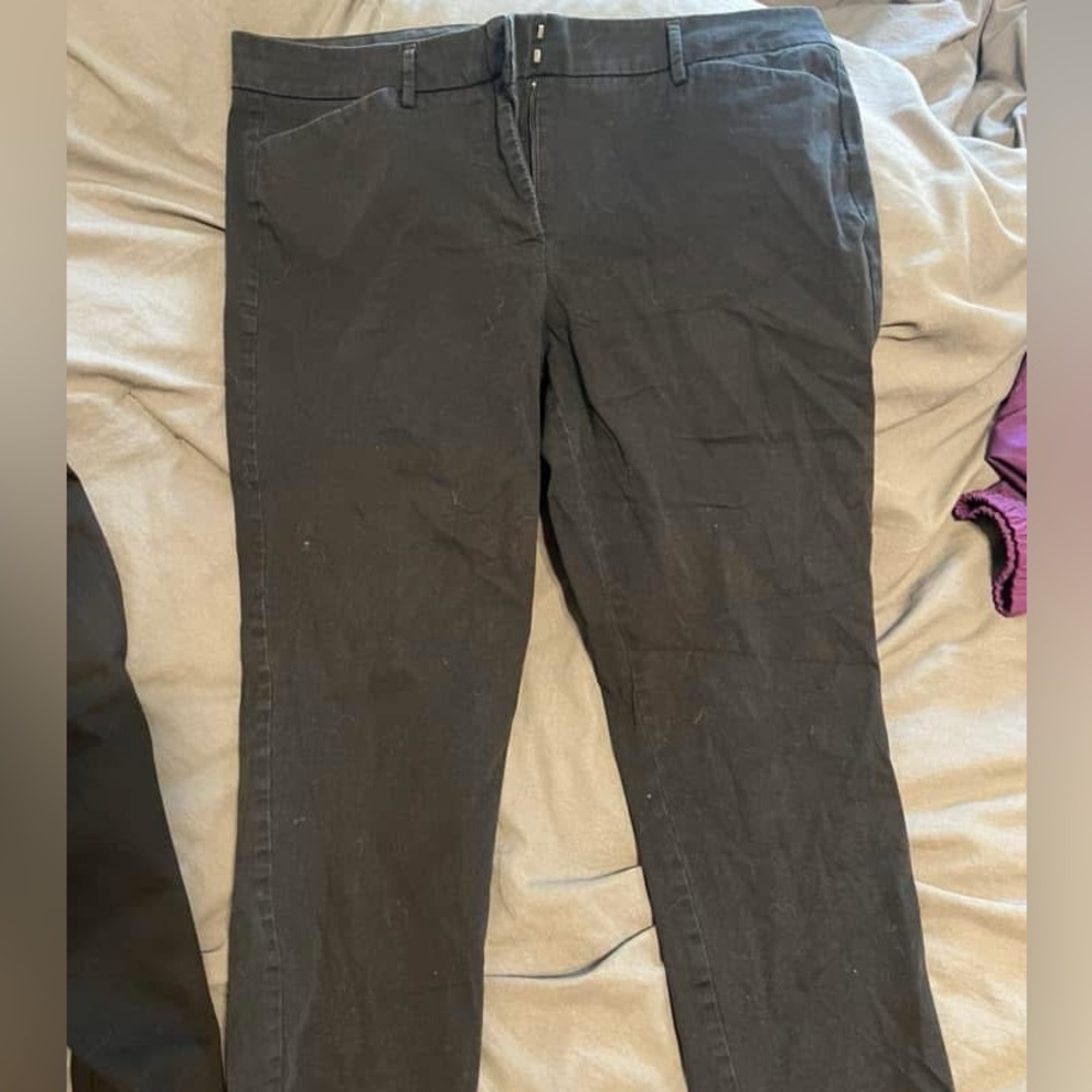 Women's Black Ankle Pants